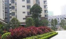 宝安中粮澜山最新爆料,品质生活新地标即将崛起